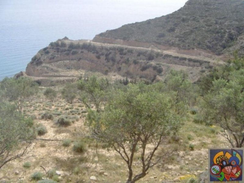 Kokkinos Pirgos Kreta, Kokkinos Pirgos, Agia Galini, gr. Grundstück 130.000qm² mit Panorama Meerblick zu verkaufen Grundstück kaufen